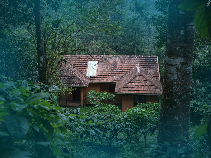 Romantic villas in Vythiri