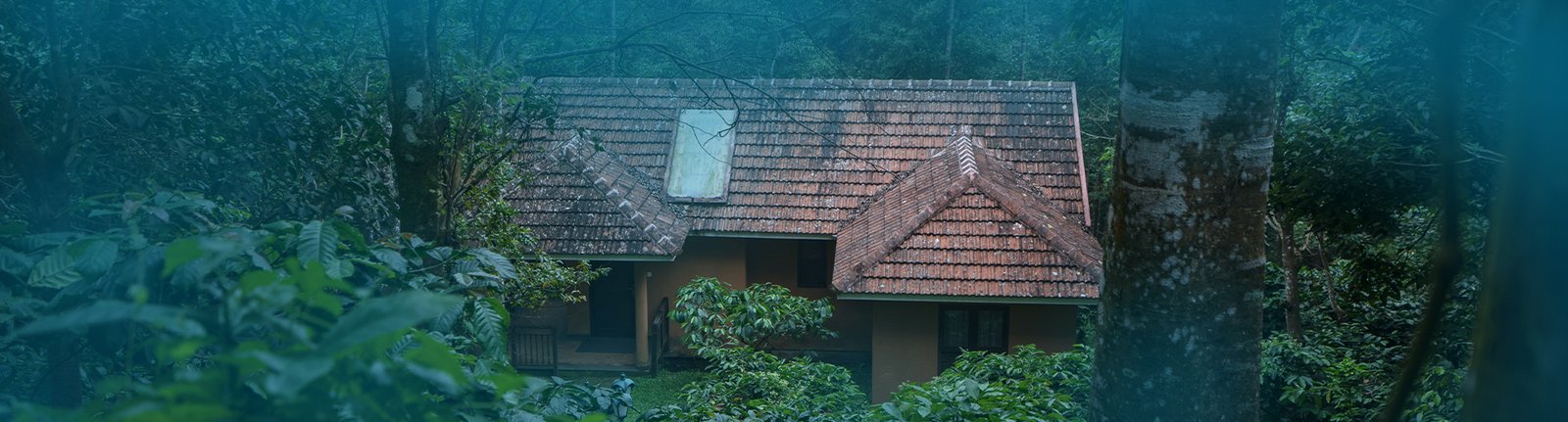 Romantic villas in Wayanad