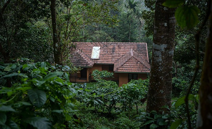 best resorts in vythiri