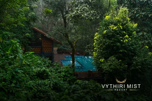 private pool with lush greenery