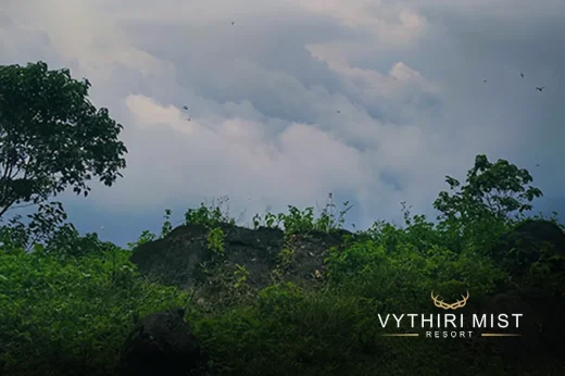 Nature trails and viewpoints at the Vythiri Mist Resort