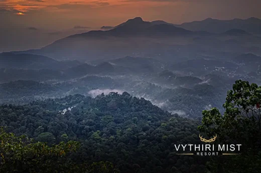 Vythiri Mist Resort sunset views