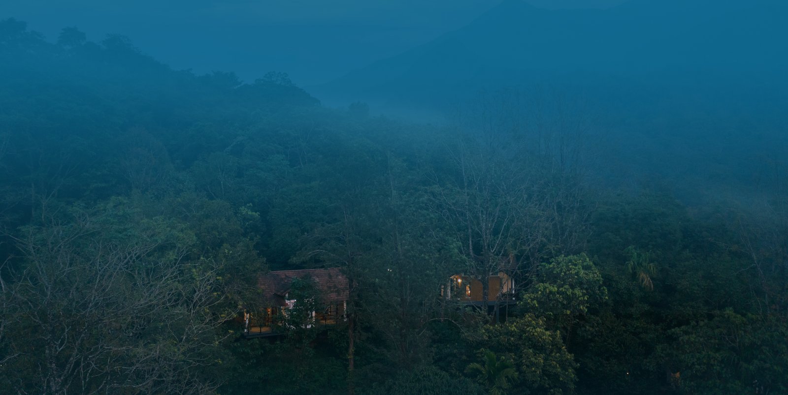 Vythiri Mist Resort — Resort in Vythiri and Lakkidi