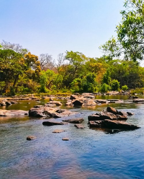 Lakkidi