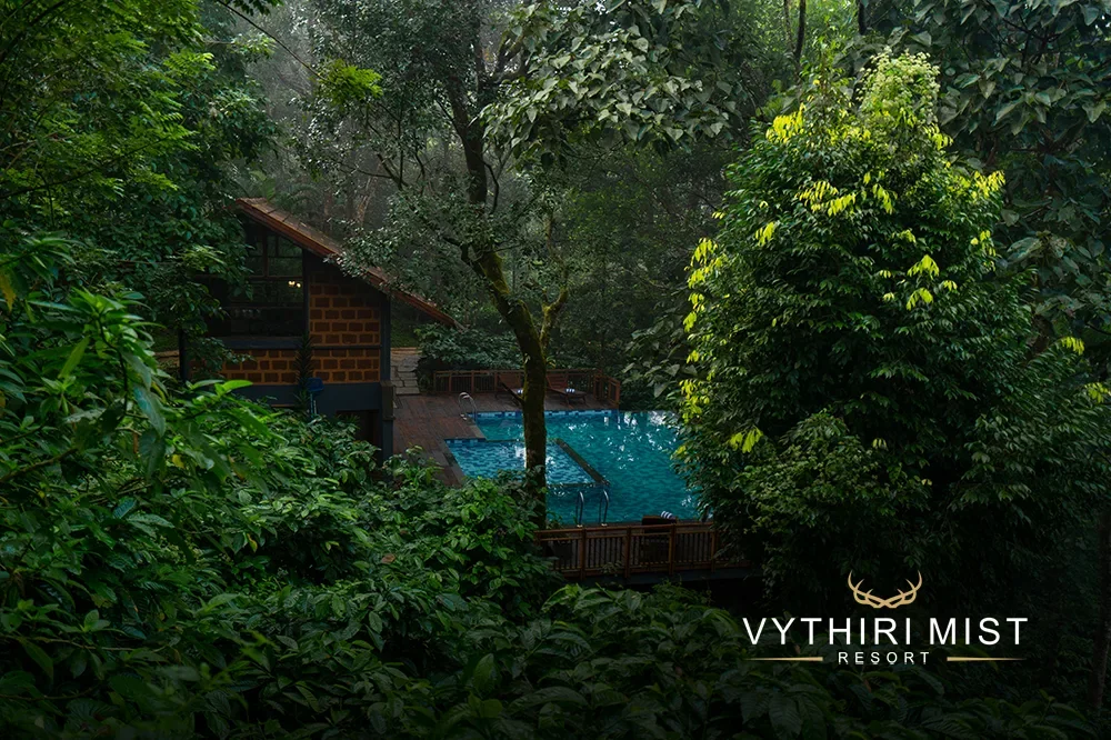 vythiri mist resort pool exterior view