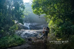nature walking resort in kerala