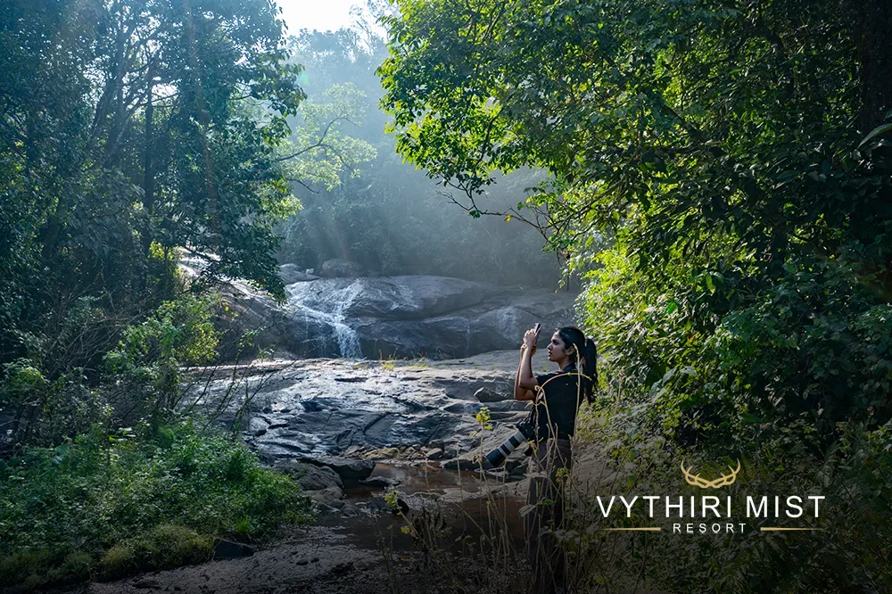 nature walking resort in kerala