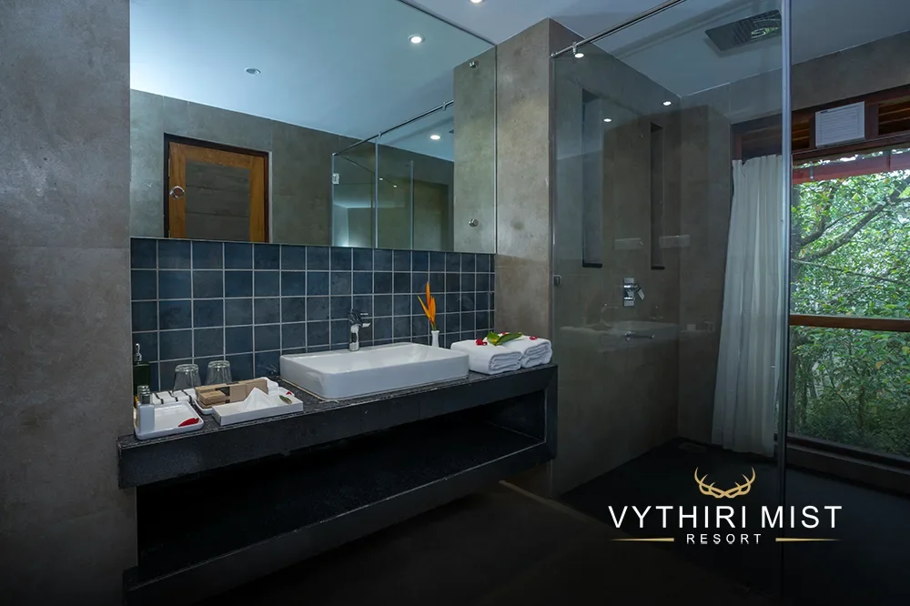 vythiri mist gallery