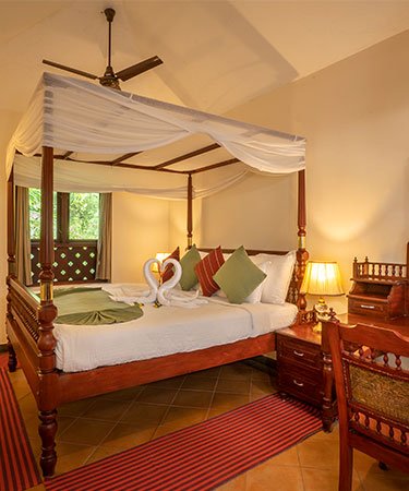 resort in wayanad