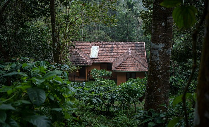 best couple resort in wayanad