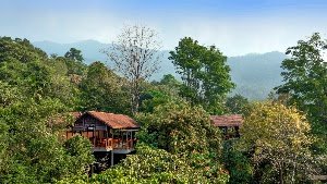 Vythiri Mist Resort, Wayanad place picture